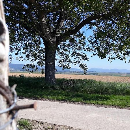 Die Gefaehrten Oberhausen  Buitenkant foto