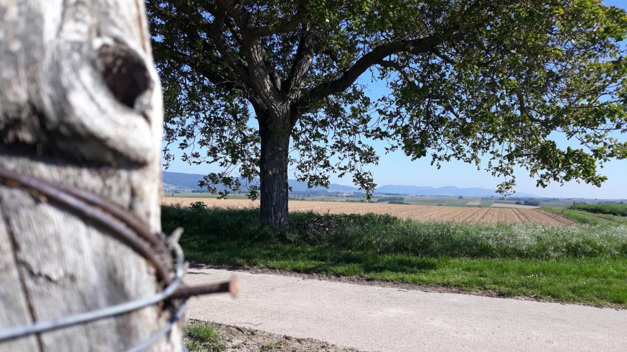 Die Gefahrten Oberhausen  Buitenkant foto