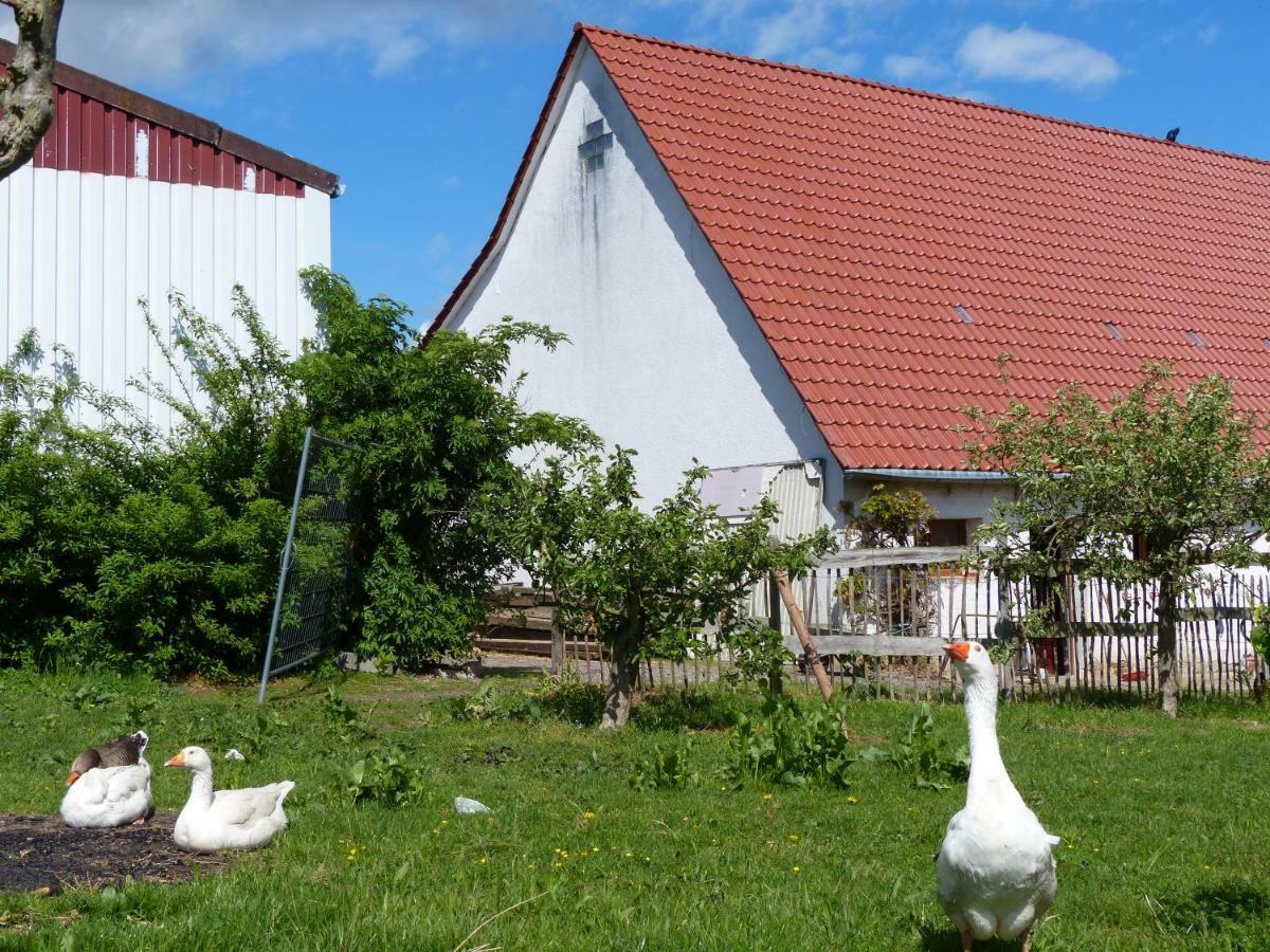Die Gefaehrten Oberhausen  Buitenkant foto